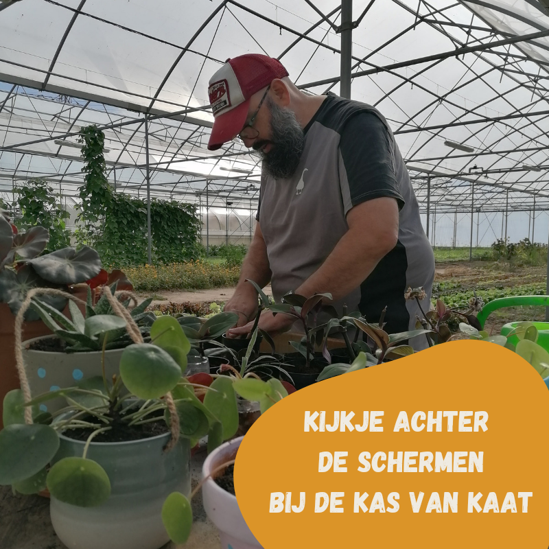 Kijkje achter de schermen in de Tuin