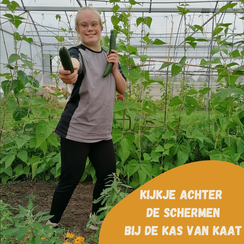 Kijkje achter de schermen met Mara