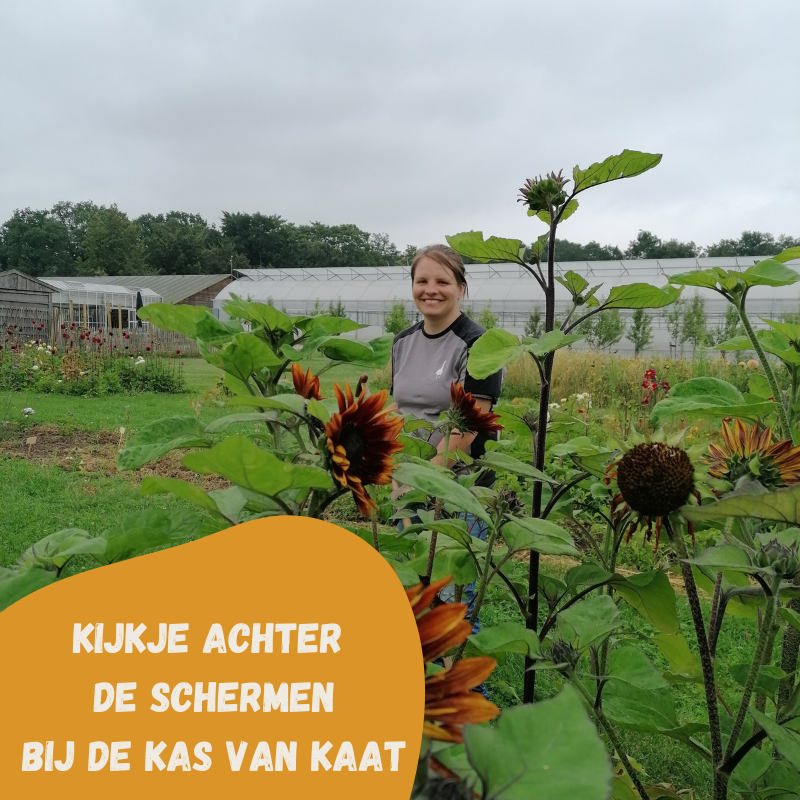 Kijkje achter de schermen in de Tuin
