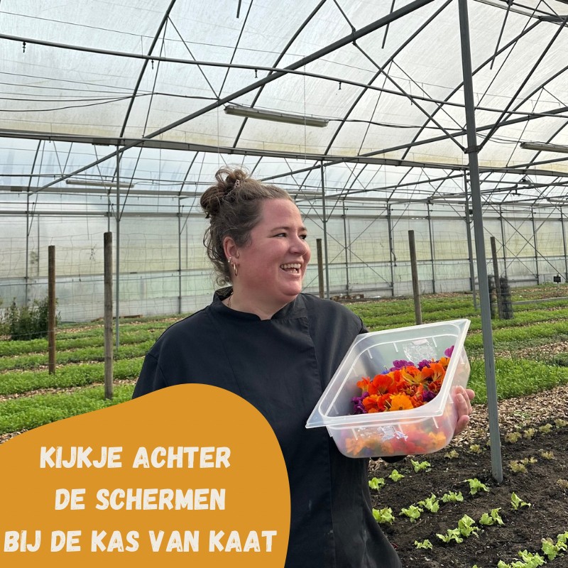 Kijkje achter de schermen met Marleen